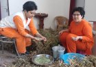 प्राकृतिक खेती का ज्ञान सिखती विदेशी साध्वी, भारत संस्कृति विश्व की धरोहर
