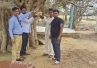 युवा कार्यक्रम, खेल मंत्रालय भारत सरकार के नेहरू युवा केंद्र के कार्यकर्ताओं ने परिंडे लगाओ पक्षी बचाओ अभियान के तहत करई गांव में लगाए परिंडे