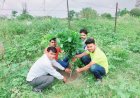 भाजपा नेता समय सिंह जाटव ने किया वृक्षारोपण कार्यक्रम