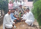 सूरौठ में आदिवासी दिवस पर संगोष्ठी आयोजित, मंदिर परिसर में किया पौधरोपण