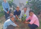 पेड़ ही जीवन दाता और धरती के श्रृंगार हैं - फत्ते सिंह