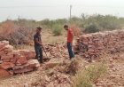 धौलपुर-करौली टाइगर रिजर्व की वाउंड्री वॉल का कार्य जारी, बनेगा देश का 54वाँ टाइगर रिजर्व