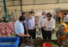 मिलावटी मसालों पर सरकार सख्त- अनसेफ मसाले मिलने के बाद प्रदेशभर में कार्रवाई, 71 सैंपल लिए, 12 हजार किलो से अधिक मसाले सीज