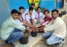 Karauli: केंद्रीय नवोदय विद्यालय में किया गया पौधारोपण