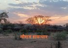 राजस्थान मौसम : वैशाख में जेठ सी गर्मी, तापमान 46° सेल्सियस के पार