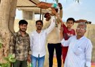"एक पेड़ - एक परिंडा" अभियान की शुरुआत, भीषण गर्मी में प्यासे पक्षियों को मिलेगी राहत