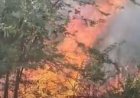 सोनेश्वर बालाजी मंदिर के पास पहाड़ी में भीषण आग, सैकड़ों पेड़-पौधे जलकर खाक