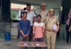 जयपुर में मोबाइल लूट गैंग का खुलासा, दो आदतन अपराधी गिरफ्तार, 7 मोबाइल बरामद