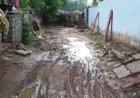 करौली: आज़ादी के 75 साल बाद भी उपेक्षित है तीन बड़ से रोहणी कॉलोनी तक का ऐतिहासिक मार्ग