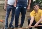 करौली सर्किट हाउस में एडीएम आवास पर सांप मिलने से हड़कंप, सिविल डिफेंस ने किया रेस्क्यू