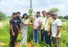 पुष्पेन्द्र गारुवाल ने विधायक अनीता जाटव के साथ वृक्षारोपण किया