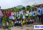 करौली - रा.उ.प्रा.वि.बबूलखेड़ा में एबीएफ टीम के राजेश माली ने फलदार पौधे वितरित किए
