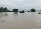 मंडरायल, करौली । चंबल नदी के बढ़ते जलस्तर से क्षेत्र प्रभावित, विधायक हंसराज मीणा ने मौके पर जायजा लिया