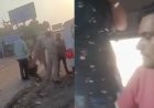 धौलपुर में परीक्षा देने जा रहे युवक से बस कंडक्टर ने की मारपीट, वीडियो वायरल