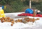 बालाघाट: महापुरुषों की प्रतिमाएं खंडित करने पर एक सप्ताह बाद भी पुलिस खाली हाथ, कांग्रेस का हल्लाबोल