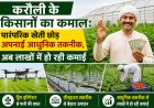 करौली के किसानों का कमाल: पारंपरिक खेती छोड़ अपनाई आधुनिक तकनीक, अब लाखों में हो रही कमाई