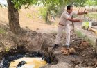 राजस्थान में अवैध शराब पर बड़ी स्ट्राइक: 11 दिनों में 1044 मामले दर्ज, 2.80 लाख लीटर वाॅश नष्ट और 380 गिरफ्तार