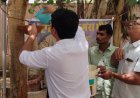 भीषण गर्मी में बेजुबान पक्षियों के लिए मानवीय पहल; जिला कलक्टर, एसपी और एडीएम ने कलेक्ट्रेट परिसर में बांधे परिंडे