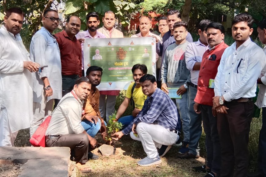 पर्यावरण को बचाने में स्वयंसेवी संस्थाएं कर रही भरपूर सहयोग