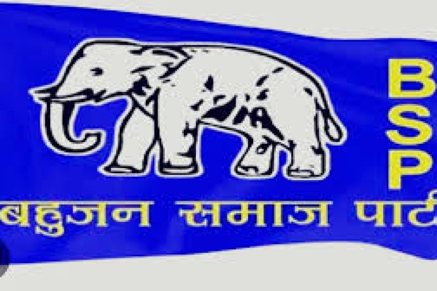 बसपा ने बांदीकुई सीट से बदला अपना उम्मीदवार, बढ़ सकती है कांग्रेस की परेशानी