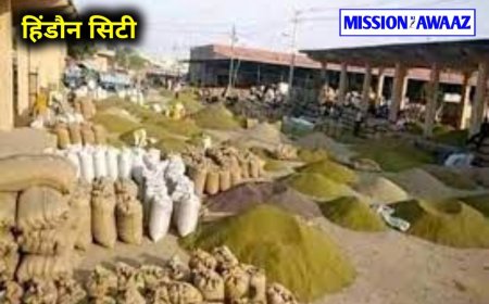 Hindaun City: 25 जुलाई से 31 जुलाई तक कृषि उपज मंडी रहेगी बंद