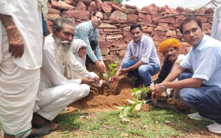 नर्सेज एसोसिएशन के प्रदेश अध्यक्ष के जन्मदिन पर किया पौधारोपण, स्वास्थ शिविर में 222 मरीजों का हुआ इलाज