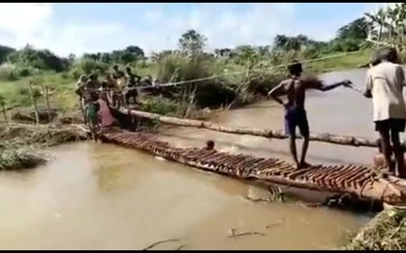 सरकार ने नहीं सुनी मांग तो आदिवासी समुदाय ने बनाया लकड़ी का पुल