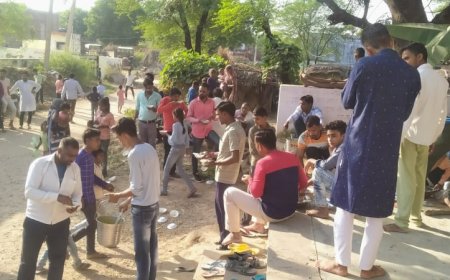 पाली सिंघाण जट्ट में अन्नकूट महोत्सव कार्यक्रम आयोजित