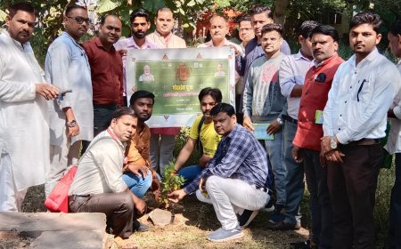 पर्यावरण को बचाने में स्वयंसेवी संस्थाएं कर रही भरपूर सहयोग