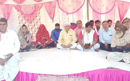 झाड़ोदा में भाजपा का डोर टू डोर जनसंपर्क अभियान