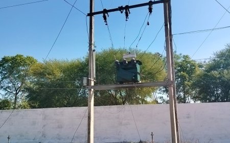 दमोह जिला में विद्युत मंडल की लापरवाही आई सामने