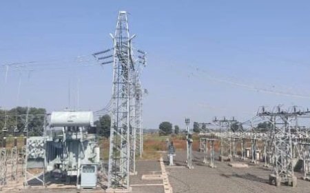 एम पी ट्रांस्को ने कूनो नेशनल पार्क बफर जोन के पास कराहल में ऊर्जीकृत किया