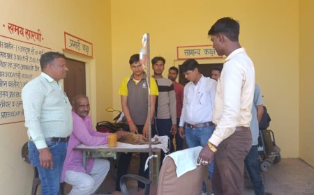 शेरपुर में घायल बंदर को बचाने में जुटे युवा बुलाए गए डॉक्‍टर; अस्‍पताल में कराया गया भर्ती