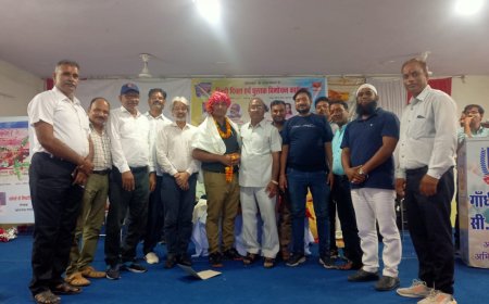 हिंडौन सिटी में "कोहरे से लिपटी हुई सांस" पुस्तक का विमोचन