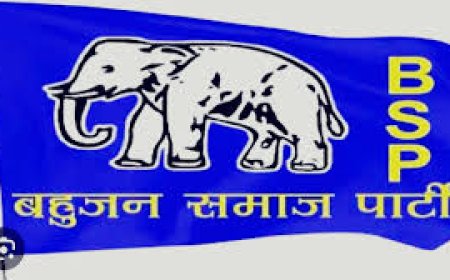 बसपा ने बांदीकुई सीट से बदला अपना उम्मीदवार, बढ़ सकती है कांग्रेस की परेशानी