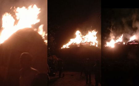 कांग्रेस प्रत्याशी रमेश मीणा के प्रचार के दौरान पटाखे फोड़ने से पड़ोसी के घास में लगी आग