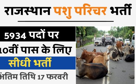 Rajasthan Pashu Parichar Bharti 2024 : राजस्थान में 5934 पशु परिचर के पदों पर भर्ती के लिए आवेदन शुरू, ऐसे करें अप्लाई
