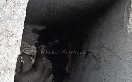 मेला दिखाने के बहाने साथ ले गए थे देवर, 3 दिन तक घुमाते रहे फिर गैगरेप के बाद कर दिया क़त्ल