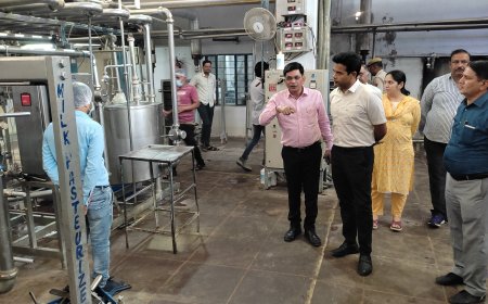 जिला कलक्टर अचानक पहुंचे डेयरी प्लांट