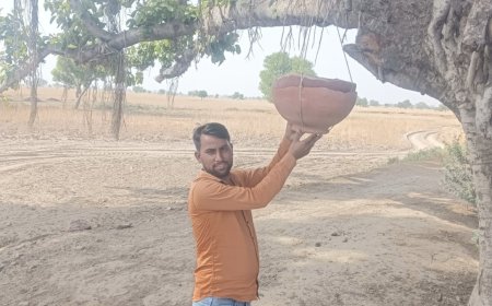 Bharatpur: पक्षियों के लिए लगाये भारतीय किसान यूनियन लोक शक्ति ने परिण्डे