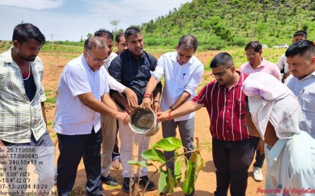 हिंडौन सिटी: बाढ़ करसौली ग्राम पंचायत द्वारा चारागाह भूमि में लगाए गए हजारों फलदार पेड़