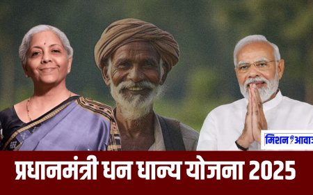 Budget 2025: किसानों के लिए पीएम धन धान्य कृषि योजना का ऐलान, 100 जिलों को मिलेगा लाभ