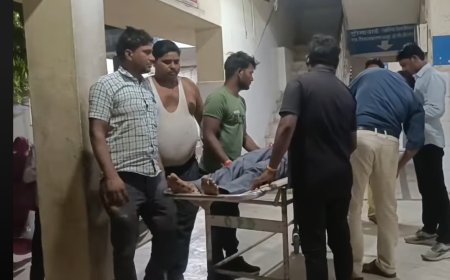 करौली- पांचना पुल पर ट्रक और बाइक का एक्सीडेंट, दो की गई जान