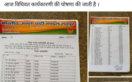 Bhilwara: सरकारी कर्मचारी द्वारा राजनीतिक प्रचार, आचरण नियमों का उल्लंघन