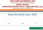 राजस्थान BSTC (Pre D.El.Ed) परीक्षा परिणाम 2025 घोषित, यहां देखें कट-ऑफ और फाइनल आंसर की