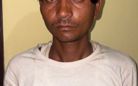 यूपी STF की बड़ी सफलता: अंतरराष्ट्रीय तस्कर चंगुल से 102 दुर्लभ कछुए बरामद