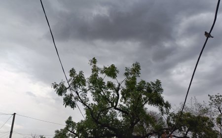 राजस्थान में 14-15 जून को बदलेगा मौसम का मिजाज: कोटा, उदयपुर, भरतपुर, जोधपुर और बीकानेर में आंधी-बारिश की चेतावनी