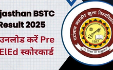 राजस्थान बीएसटीसी (Pre DElEd) रिजल्ट 2025 जल्द घोषित, जानिए कैसे करें चेक