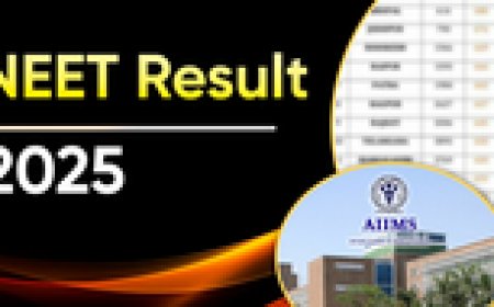 NEET 2025 रिजल्ट लाइव: जानें टॉपर, कटऑफ और काउंसलिंग की पूरी जानकारी