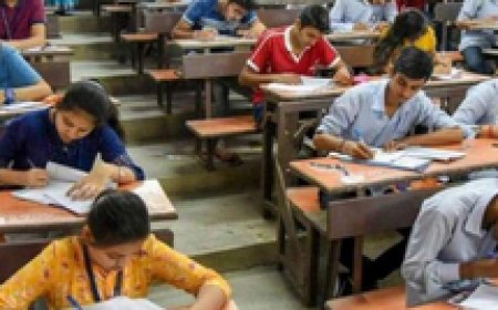 करौली में शांतिपूर्वक संपन्न हुई पीटीईटी परीक्षा, बायोमैट्रिक से हुई उपस्थिति जांच